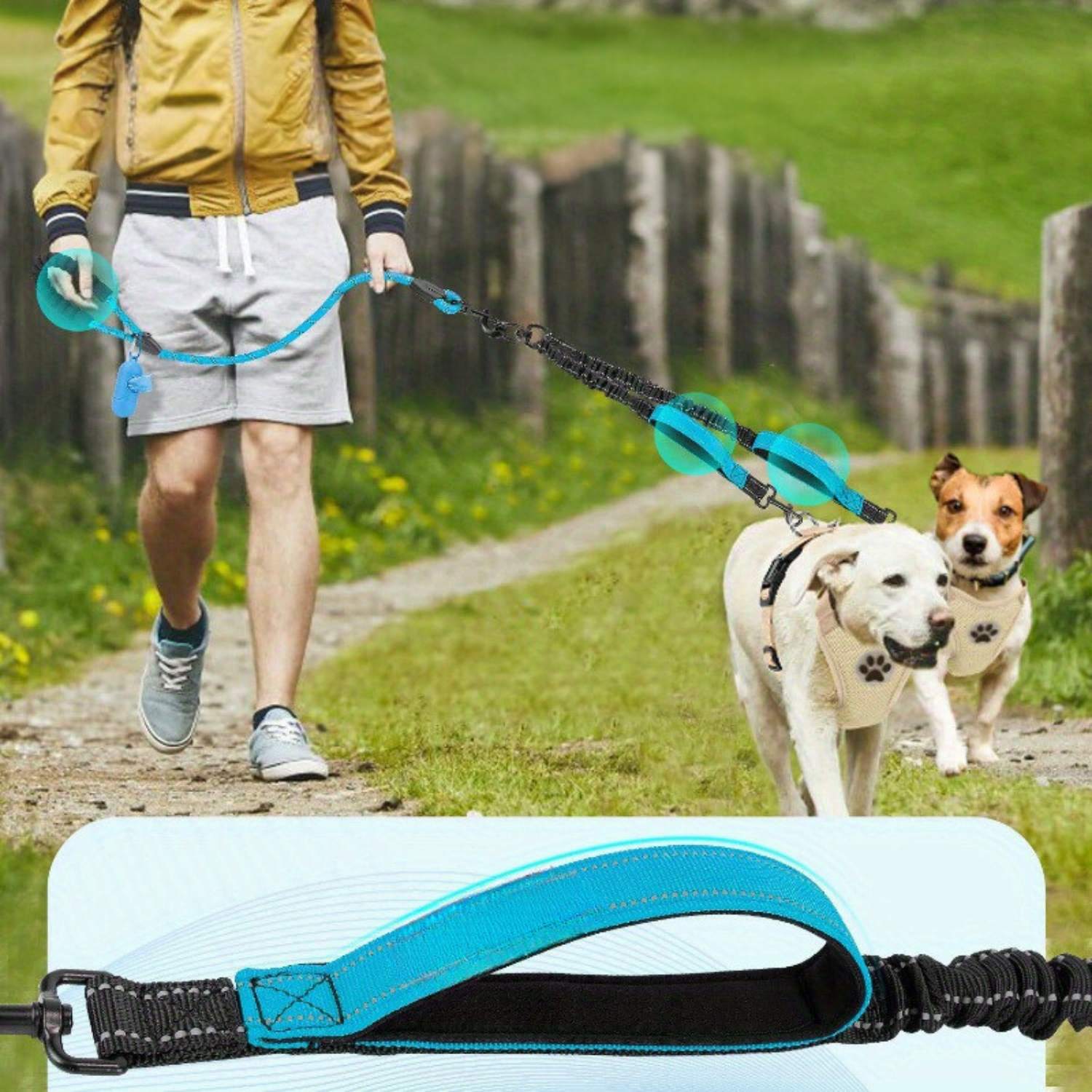 Dubbele hondenriem hond uitlaten